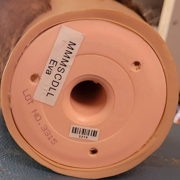 Mannequin Head Hairdressing Cosmetology 100% Human Hair Practice Training Doll - Picture 7 of 7